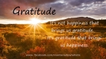 Gratitude, Power of Gratitude, Susan Cox, Minding the Soul, Kent, Rochester